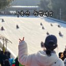 청소년수련원 | 경기도 눈썰매장 추천 겨울 아이와 가볼만한곳 평택 무봉산 청소년 수련원 주차 주말 후기