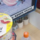 지에스25 홍제한화점 네이버블로그