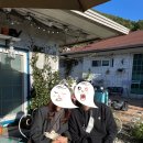 땅땅치킨외도점 | 밀양 제니하우스 숙박 후기(조식 포함) / 땅땅치킨