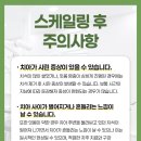 다시젊어지는 치과의원 | 치과 스케일링 가격, 비용부터 건강보험 적용까지 총정리