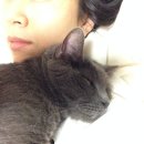 너와나묘연