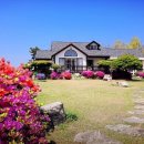 보헤미안펜션 이미지