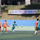 삼척복합체육공원 축구장 이미지