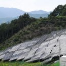 지연태양광발전소 이미지
