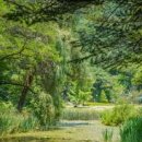 지베르니 이미지