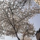 대지약국 이미지