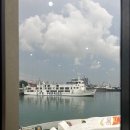 [BOHOL 보홀#2] 필리핀 세부에서 보홀가기, 보홀 오션젯 탑승방법, 탑승후기