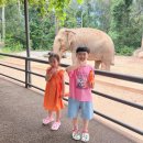 여우피씨 이미지