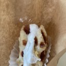 79파운야드태백점 이미지