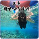 천원행정사 | 보홀 해상 및 육상투어(feat. 리조트후기 살짝)