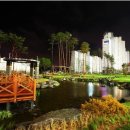 옥계동부초등학교 이미지