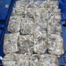 쭈꾸미스타 이미지