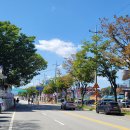 요천제방길 이미지