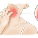 보은성심의원 이미지