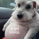 (주)지니록스 | 어쩌다보니 하이록스