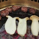 정원생고기 이미지