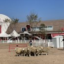 병목목장 이미지