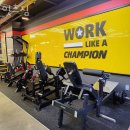 잇츠GYM | 울산 북구 헬스장 잇츠짐 PT 비용 정보