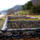 도계소공원(2) 이미지