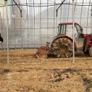 송종섭 농장 이미지