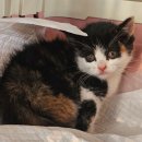 씨유보령주포점 이미지