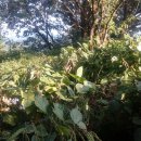 가륜2리마을회관 이미지