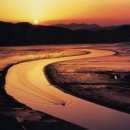 순천만 갈대밭 이미지