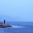 머리사랑 이미지