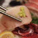참치가바다애