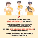 송파동물의료센터 이미지