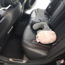 디테일링메카 이미지