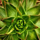 마리아A+ 이미지