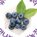 만나농장 네이버블로그
