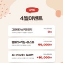 네일도꽃길 - 평택시 | 네일도꽃길