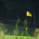 그린샷스크린골프 이미지