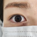 [대구 두류동]대구달서구속눈썹 공드린뷰티에서 공주 속눈썹 만들기