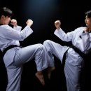 호림태권도 이미지