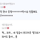 라마마 이미지