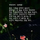 ＜ 개양귀비 ＞ 이미지