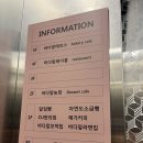[인천 카페] 영종도 베이커리 카페, 바다앞 농장🍊🥞🥐