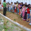 궁현2리 이미지