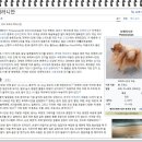 야옹아 멍멍해봐 동탄하나로점 이미지