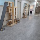 호텔 샤샤 이미지