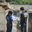 지구 카카오 검색결과