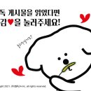 셀독24스터디카페제주삼화점 네이버블로그