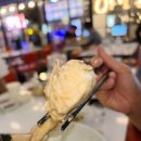 도도충무김밥 | 논현역 술집 해산물 여기서 먹어야해요 '산호초 논현점'