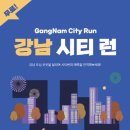 강남-250 이미지