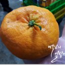 성철농장 이미지