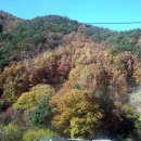 조광택시 이미지