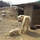 오남농장 이미지